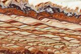 Polished Slab Of Rolling Hills Dolomite - Mexico #167457-2